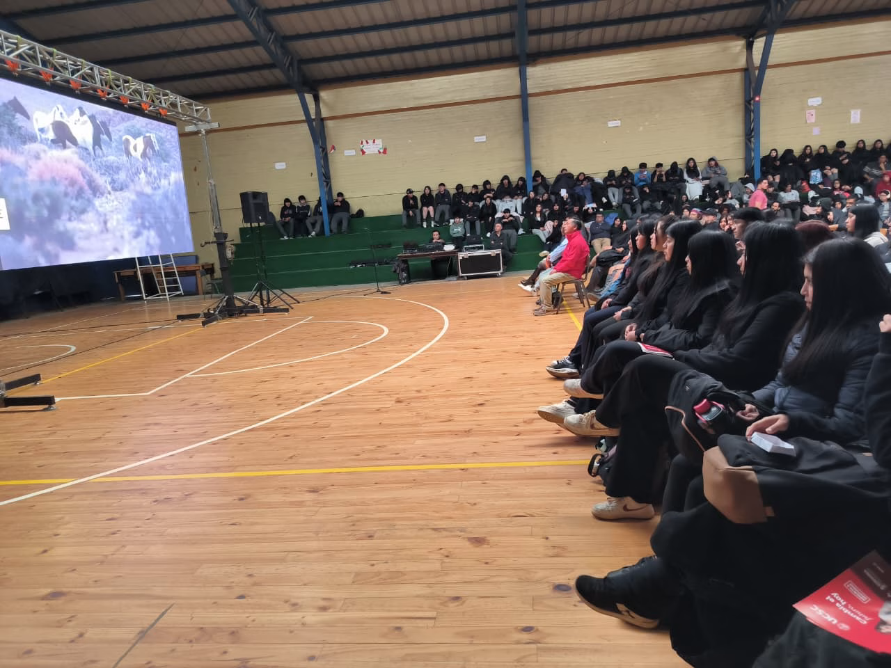 «La Memoria Implacable»: documental sobre historia mapuche fue exhibido para comunidad del Liceo Trapaqueante