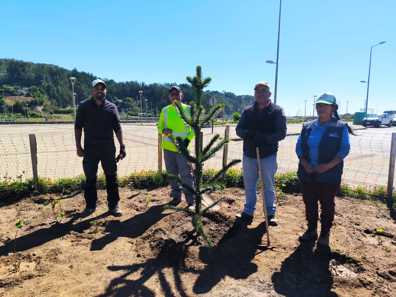 Equipo de áreas verdes sigue embelleciendo nuestros espacios públicos ¡Cuidemos nuestros parques y plazas!